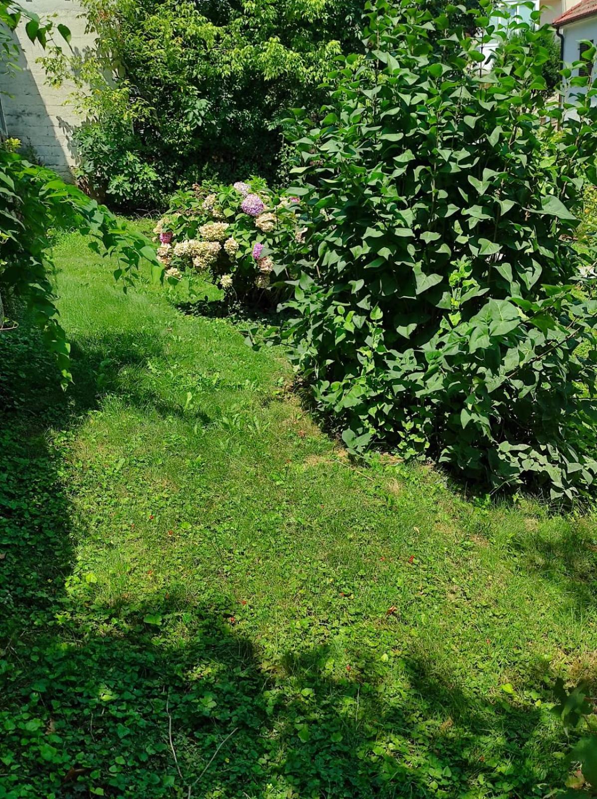 Apartman Zagreb,Rebro,Maksimir,Centar Marko المظهر الخارجي الصورة