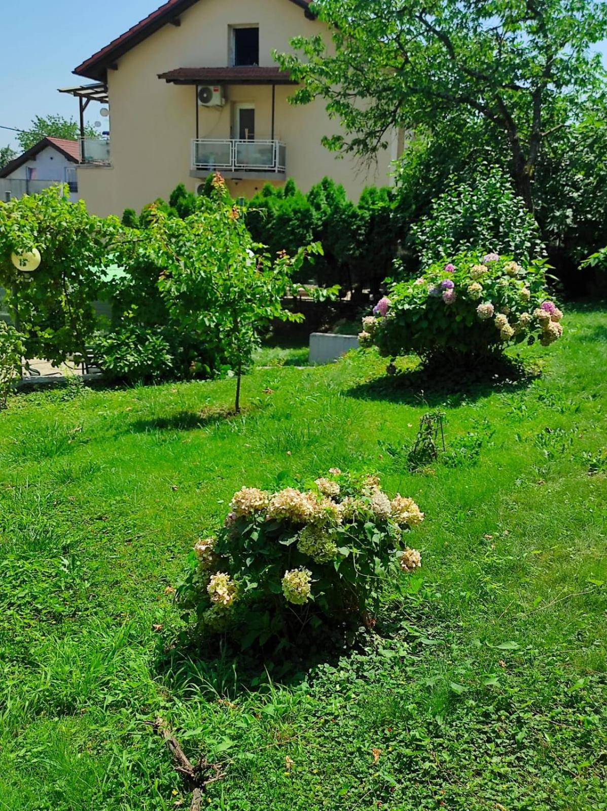 Apartman Zagreb,Rebro,Maksimir,Centar Marko المظهر الخارجي الصورة